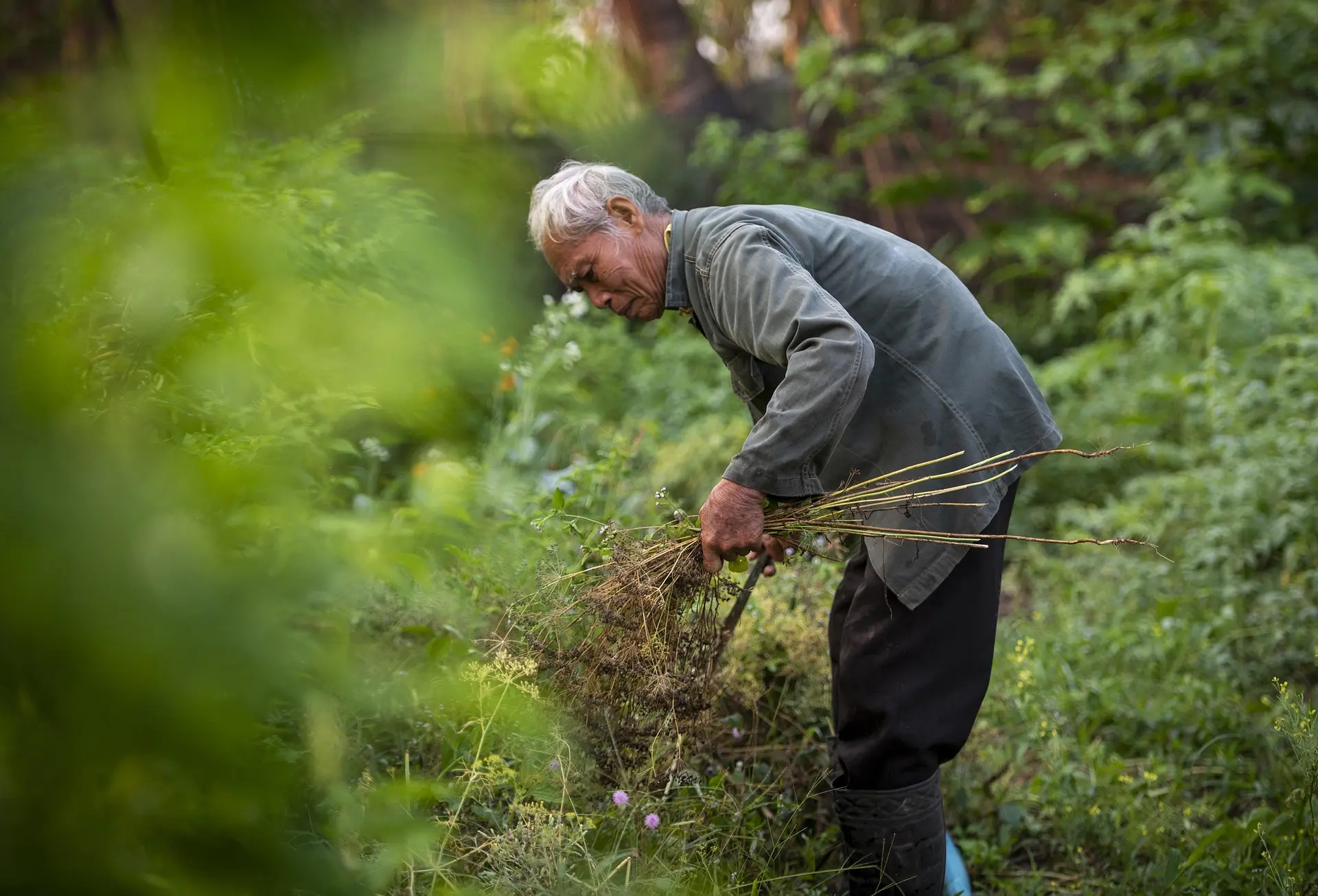Agriculteur travaillant dans un champ, symbolisant notre engagement avec les communautés locales