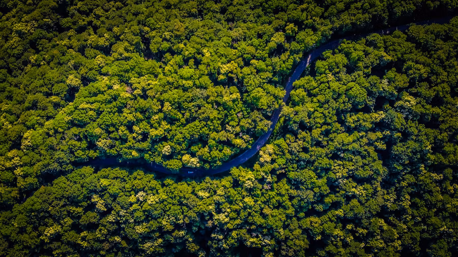 Projet Amazonie Colombienne