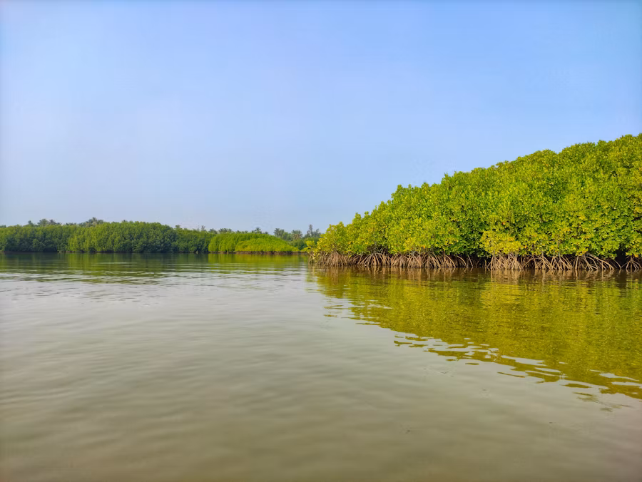 Projet Philippines Coral Triangle